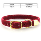 Luxury velvet pet collar, adjustable, a must-have for creating a stylish atmosphere in cat and dog photos.