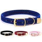 Luxury velvet pet collar, adjustable, a must-have for creating a stylish atmosphere in cat and dog photos.