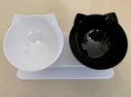 Neck-protecting double food bowl for cats and dogs
