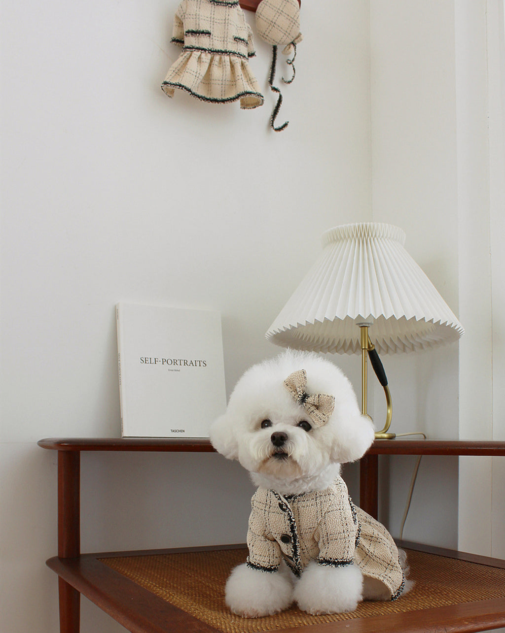 Chanel-style pet coat, French-style elegant dog clothes
