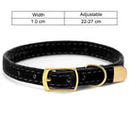 Luxury velvet pet collar, adjustable, a must-have for creating a stylish atmosphere in cat and dog photos.