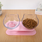 Neck-protecting double food bowl for cats and dogs