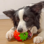 Treat-dispensing ball for dogs, durable chew toy, teeth-cleaning and educational toy, suitable for medium to large breed dogs to relieve boredom.