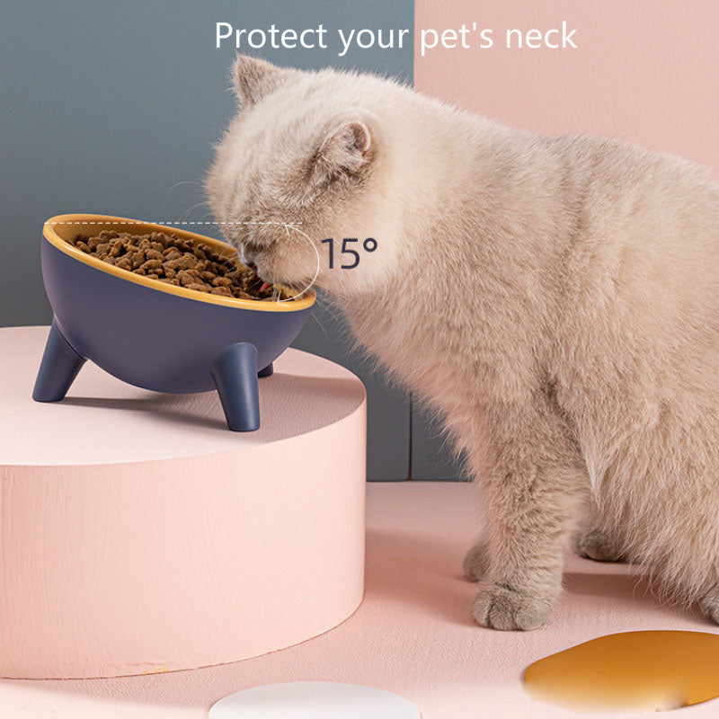 Color-blocked cat/small dog bowl with tilted neck support design to prevent black chin.