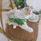Fresh Matcha Green Pet Dress