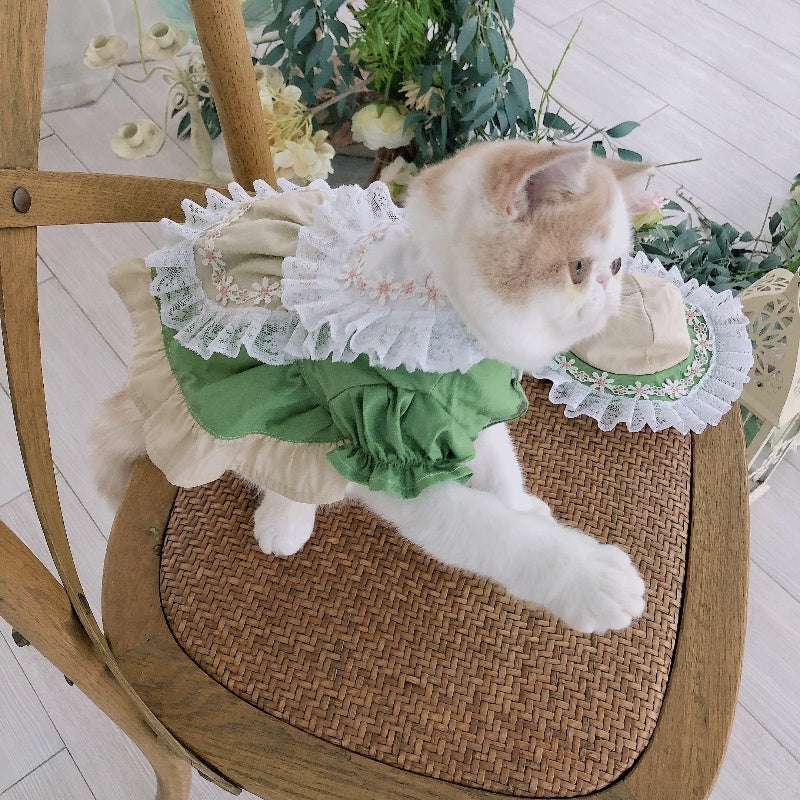 Fresh Matcha Green Pet Dress