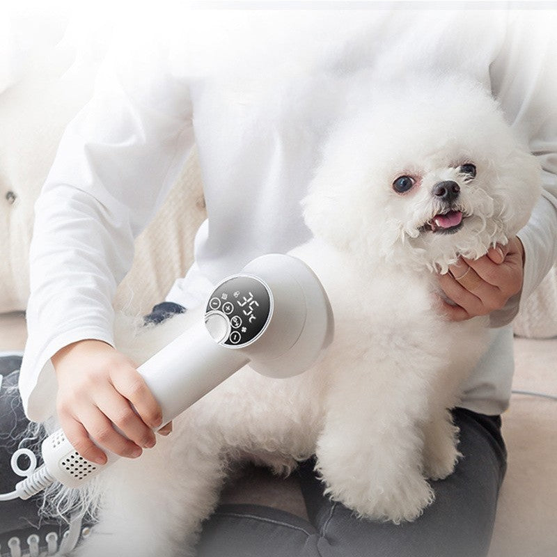 Silent pet hair dryer with comb and blow dryer