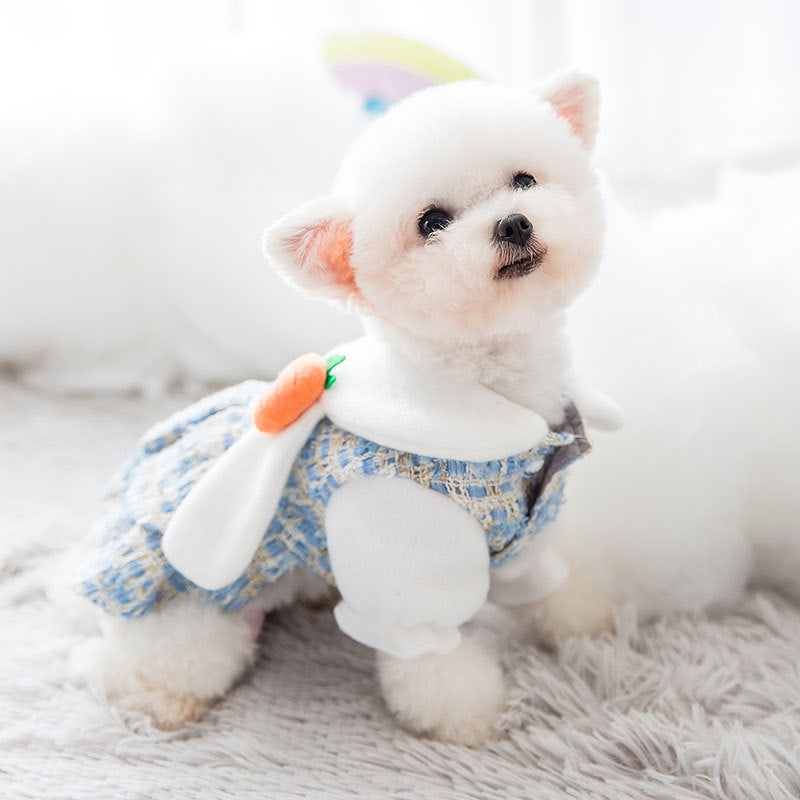 Pet dress, bunny ear hat + carrot plush toy, small dog-themed autumn/winter outfit