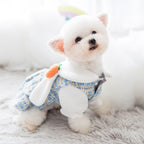 Pet dress, bunny ear hat + carrot plush toy, small dog-themed autumn/winter outfit