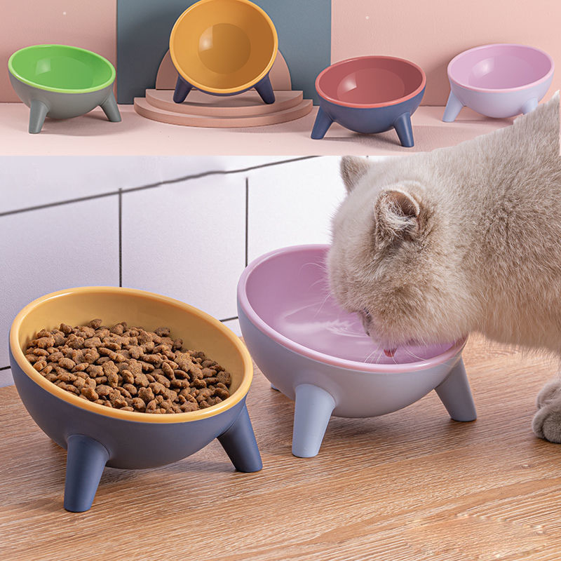 Color-blocked cat/small dog bowl with tilted neck support design to prevent black chin.