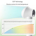 Silent pet hair dryer with comb and blow dryer