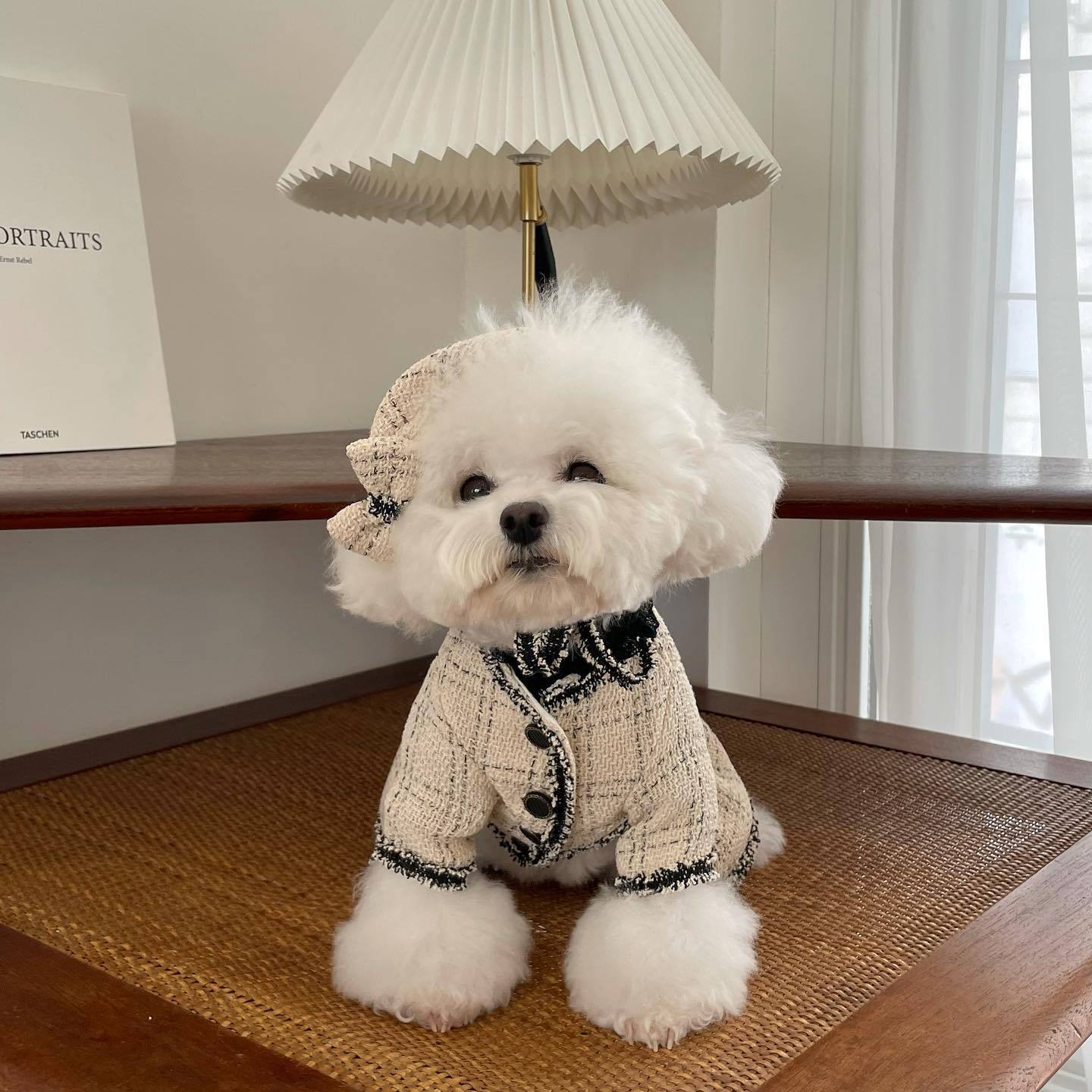 Chanel-style pet coat, French-style elegant dog clothes