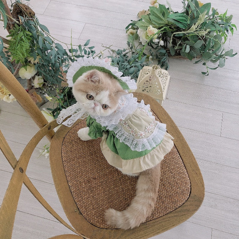 Fresh Matcha Green Pet Dress