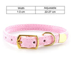 Luxury velvet pet collar, adjustable, a must-have for creating a stylish atmosphere in cat and dog photos.