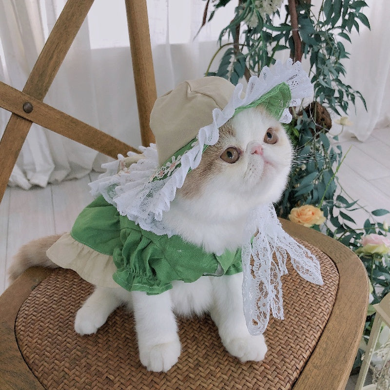 Fresh Matcha Green Pet Dress
