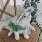 Fresh Matcha Green Pet Dress