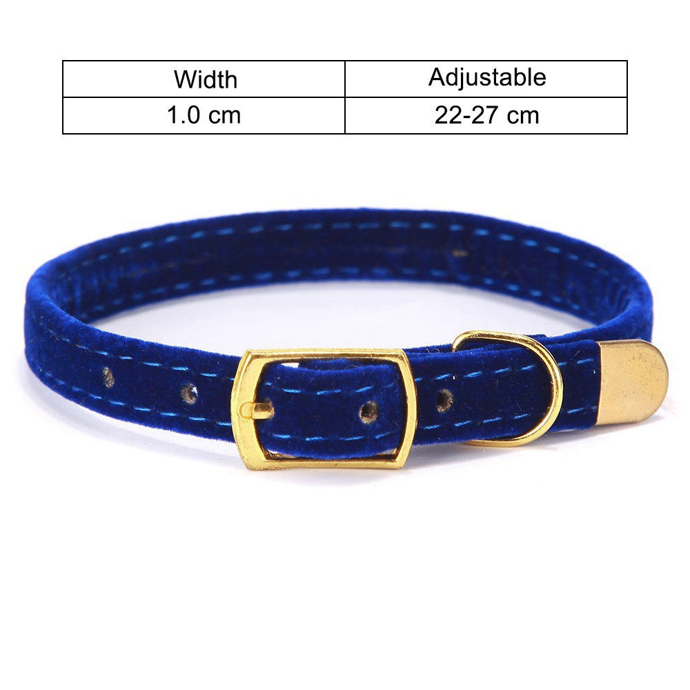 Luxury velvet pet collar, adjustable, a must-have for creating a stylish atmosphere in cat and dog photos.