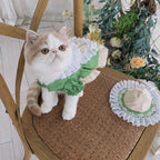 Fresh Matcha Green Pet Dress
