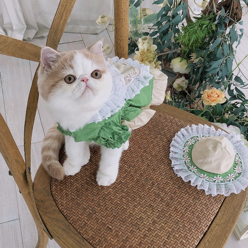 Fresh Matcha Green Pet Dress