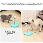 Educational cat toy with a food dispenser and spring-loaded rocking design