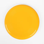 Dog Frisbee - Bite-resistant, non-toxic, training and exercise toy for medium to large dogs