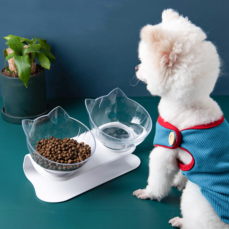 Neck-protecting double food bowl for cats and dogs
