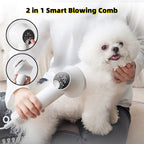 Silent pet hair dryer with comb and blow dryer