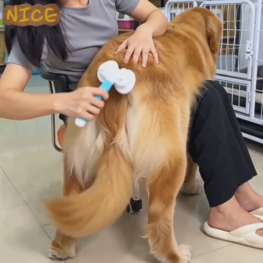 Pet Cat Brush Dog Slicker Brush Double-headed Negative Ion One-button Self Cleaning Dog Cat Hair Removal Pets Products