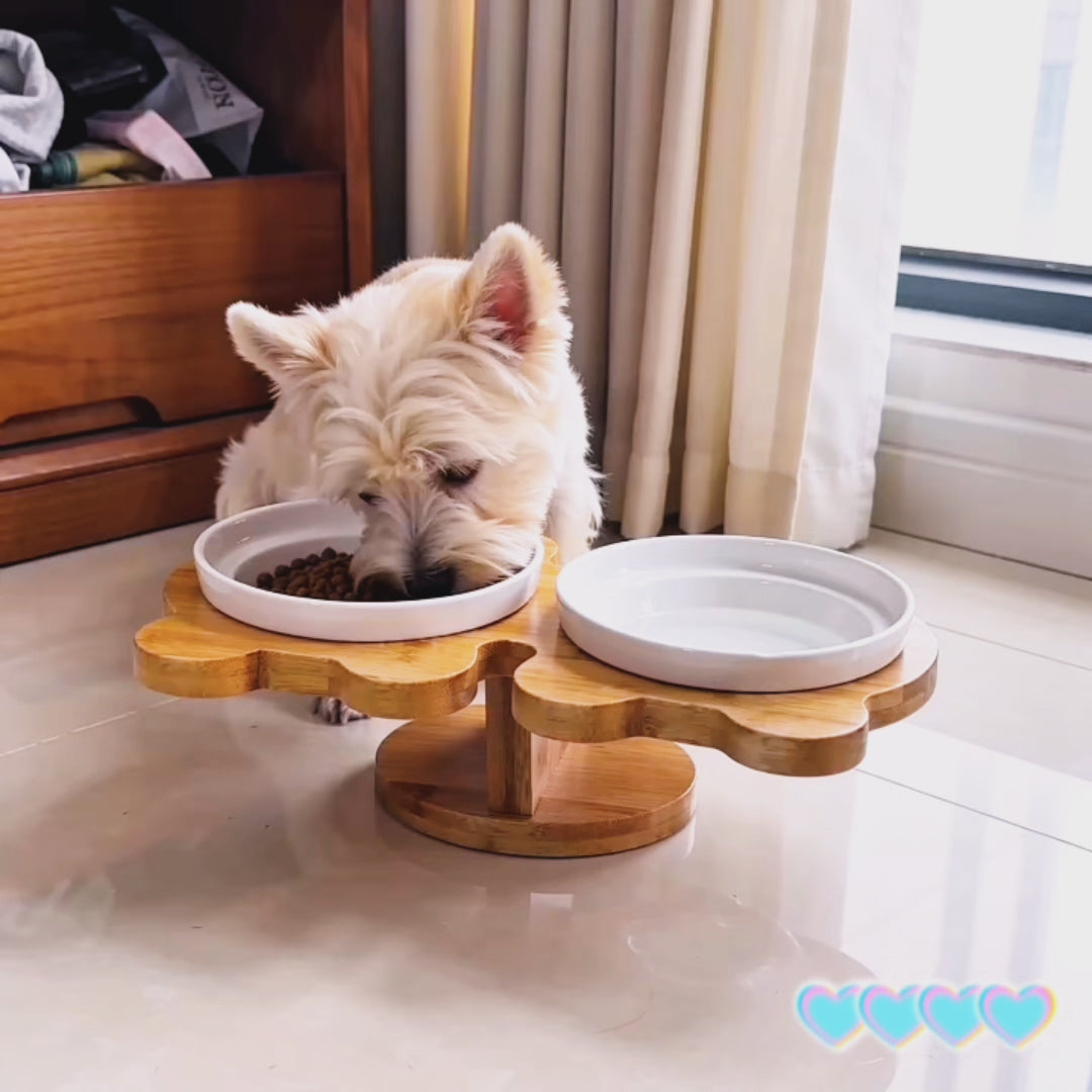 Ceramic Pet Products Cat Bowl