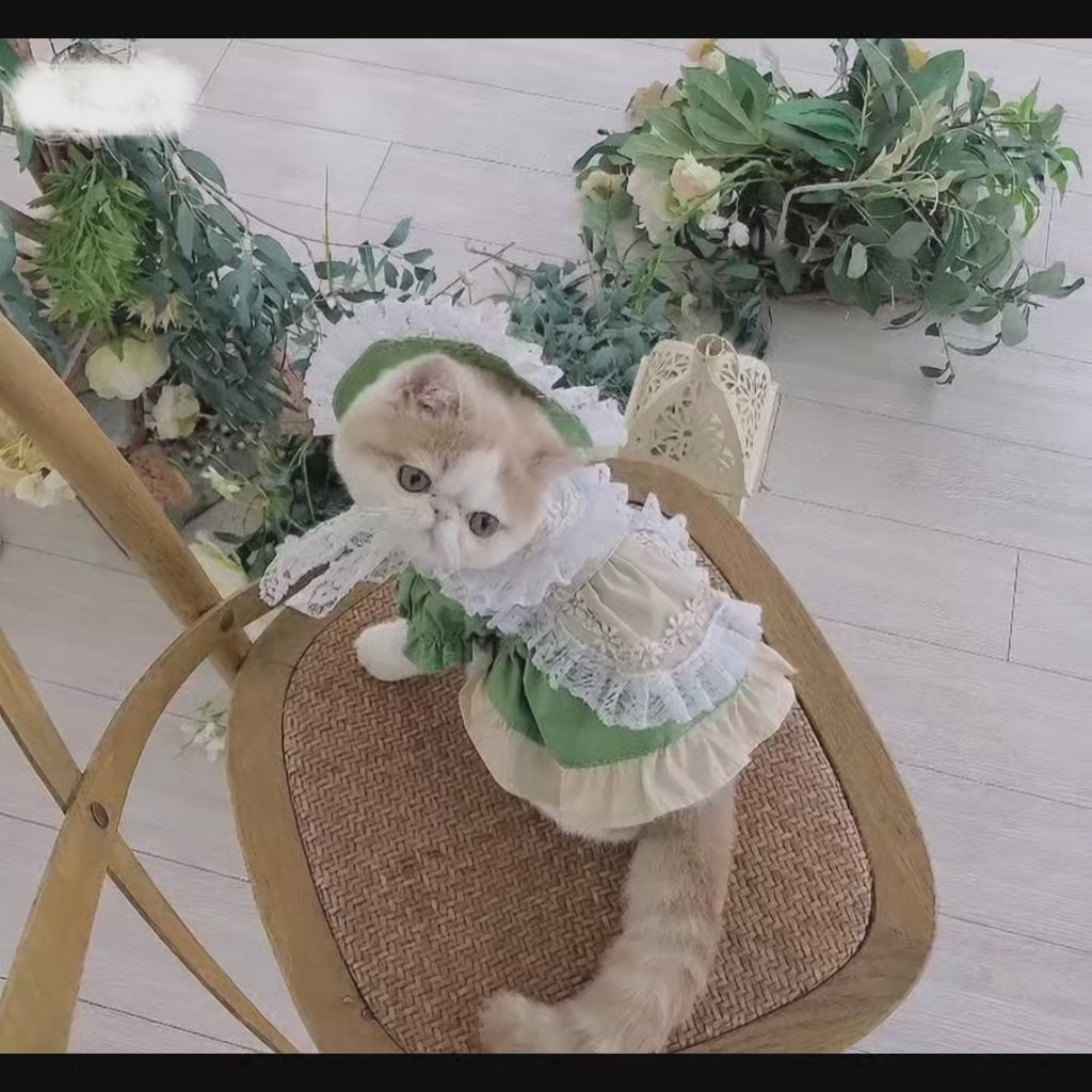 Fresh Matcha Green Pet Dress