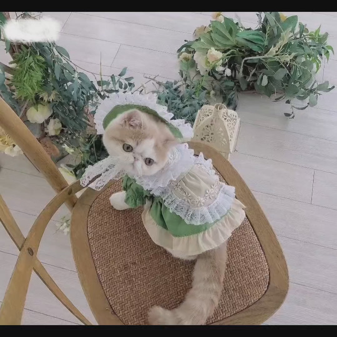 Fresh Matcha Green Pet Dress